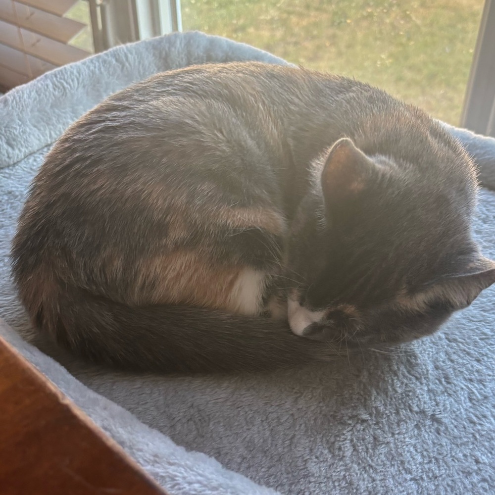 Meet your Posher, Krista